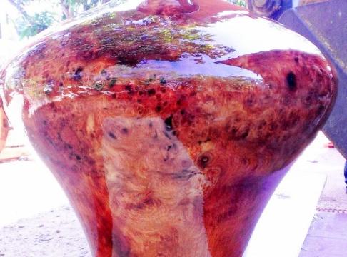 Chum Hương 04 ( Nu )