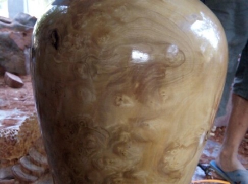 NU BẰNG LĂNG - CAO 45