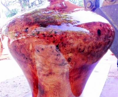 Chum Hương 04 ( Nu )